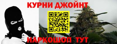 шишки Гатчина